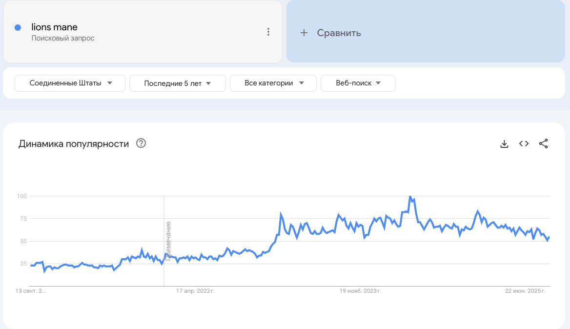 Google Trends — lions mane — stable growing trend